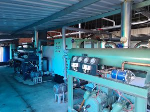 Thi công nhà máy tại Kiên Giang - Kho Lạnh An Nguyên - Công Ty Cổ Phần Điện Lạnh Công Nghiệp An Nguyên